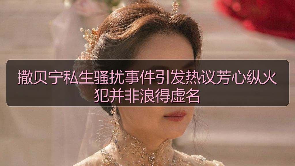 撒贝宁私生骚扰事件引发热议芳心纵火犯并非浪得虚名